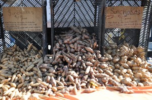 Sunny Sunchokes at the Union Square Farmers Market