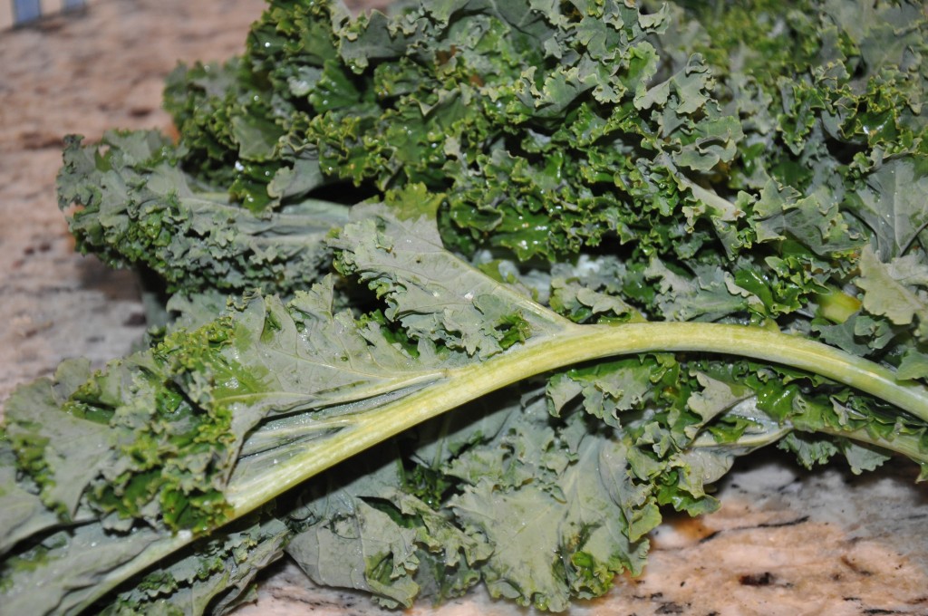 kale chips by be well with arielle