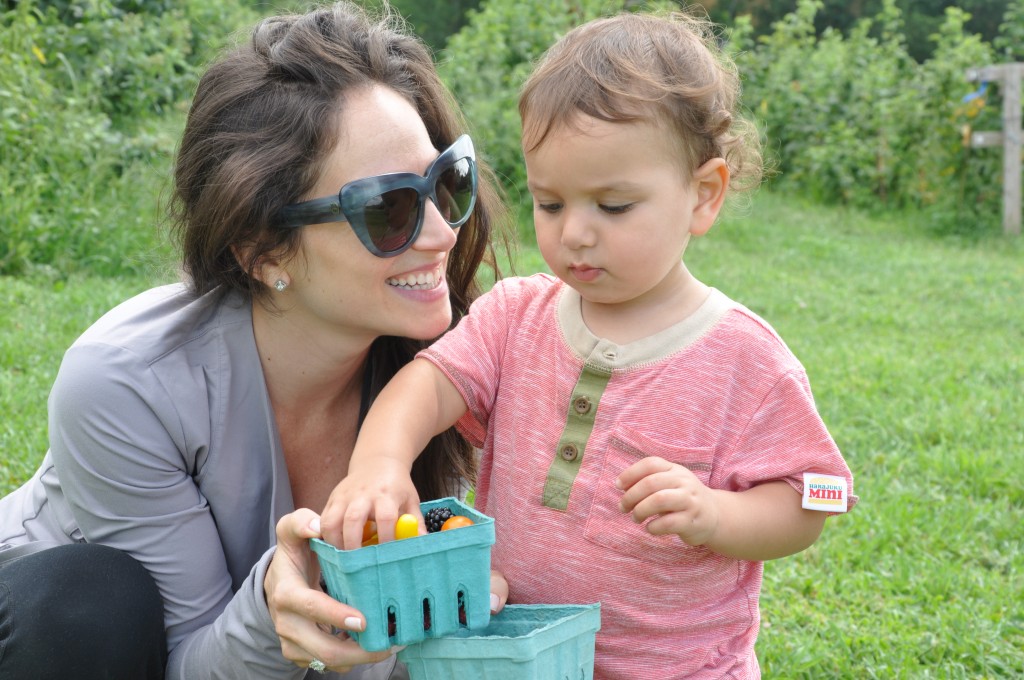 trip to the farm arielle haspel and peach pie puffs