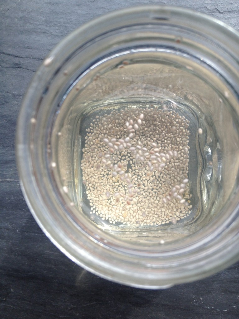 chia water by arielle fierman