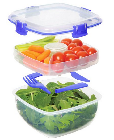 the 5 best salad containers by bewellwitharielle.com