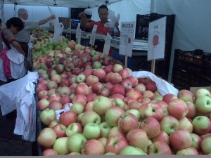 Apples from the Union Square Farmers Market this AM!