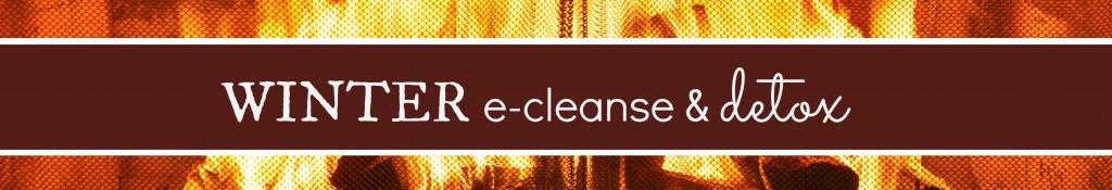 banner- e-cleanse