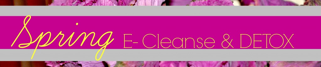 spring cleanse banner