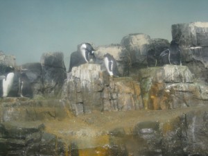 Penguins!