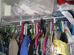 Arielle's closet right- BEFORE